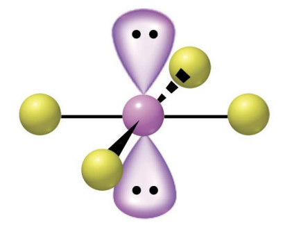 <p>What is the steric number of this molecule?</p>