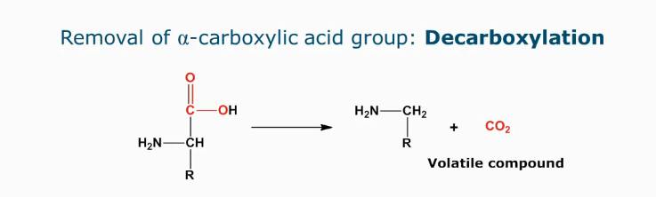 <ul><li><p>Indicator of microbial spoilage as volatile compounds are formed (aroma and off-flavors)</p></li></ul><p></p>