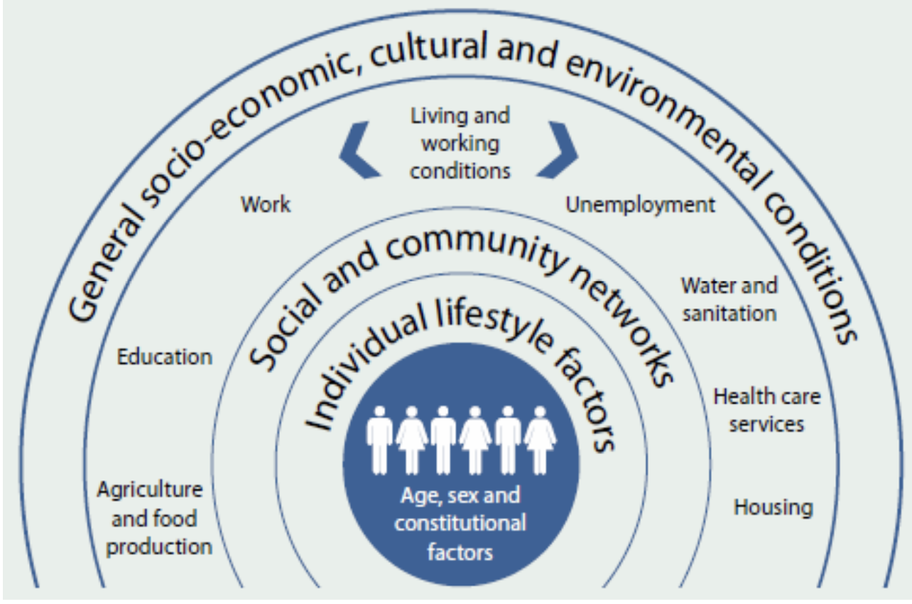 <p>Social Determinants of Health (WHO)</p>