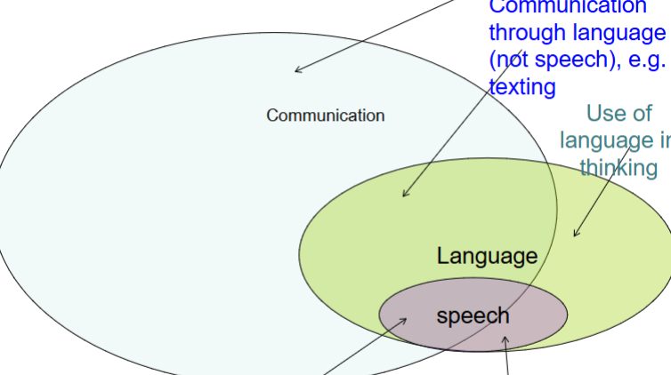 <ul><li><p>Communication is the largest circle, then language, and then speech</p></li></ul><p></p>