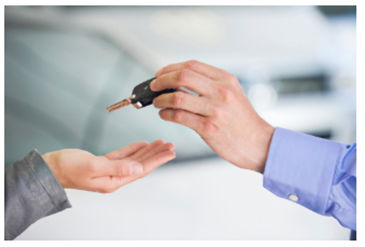 <p>đề nghị, cung cấp</p>