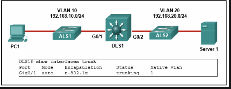 <p><span><span>PC1 is unable to communicate with server 1. The network administrator issues the </span><strong><span>show interfaces trunk </span></strong><span>command to begin troubleshooting. What conclusion can be made based on the output of this command?</span></span></p>