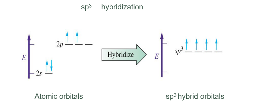 <p>Hybridisation</p>