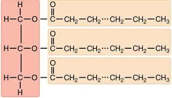 <p>Name that structure.</p>