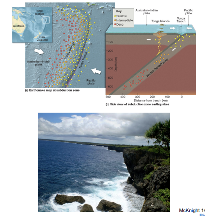<p><strong>tonga volcanic arc</strong></p>