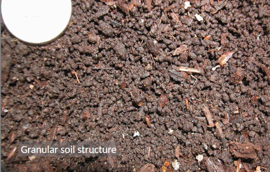 <p>Soil structure</p>