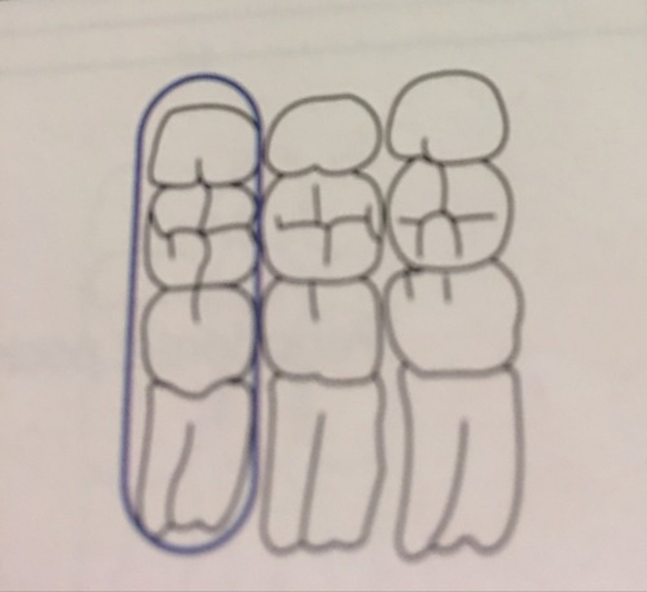 knowt flashcard image