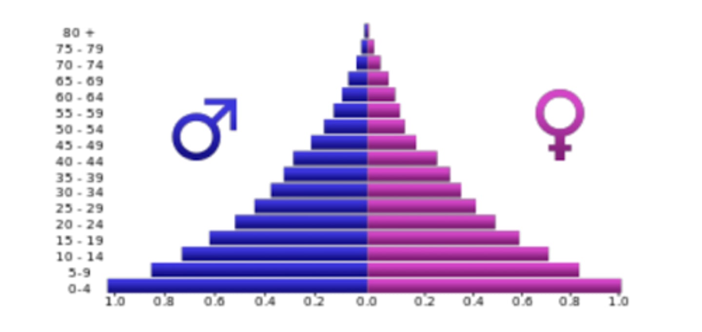 <p>- Represents the age and sex composition of the population of an area or country at a point in time</p><p>- By examining the distribution of a population by age and sex, one may view the impact of mortality from acute and chronic conditions</p>