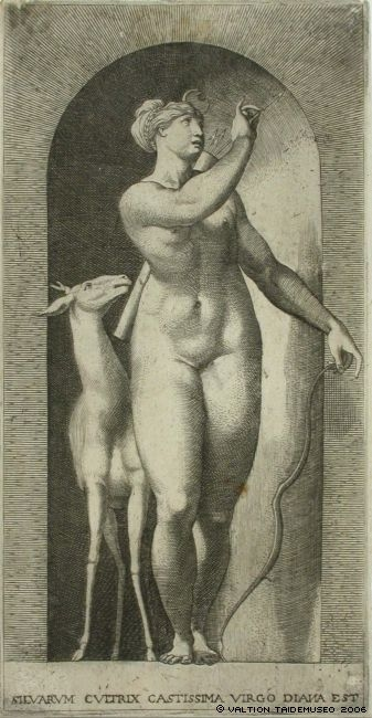 <p>no image </p>