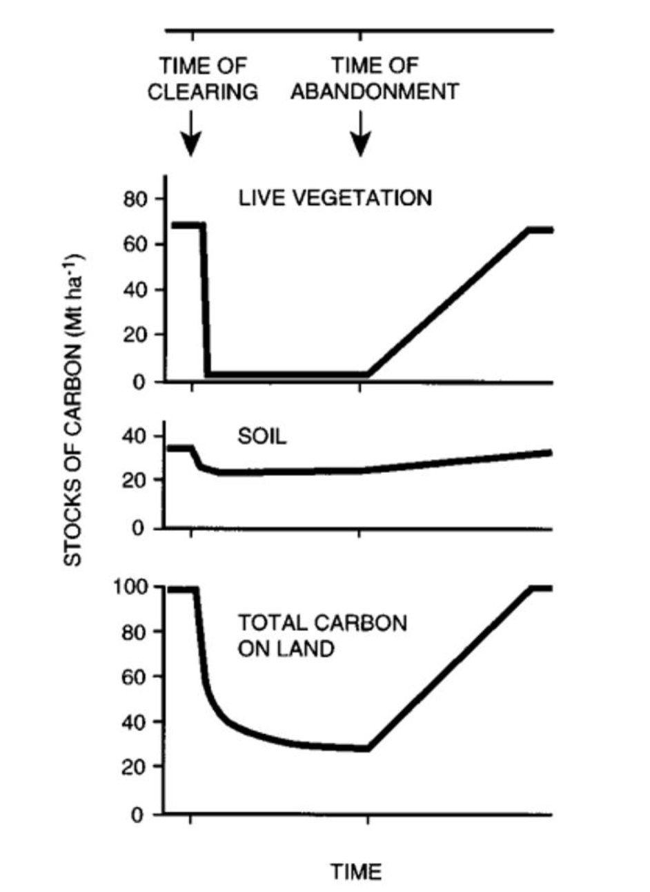 <p>B. Halting timber harvesting can lead to the accumulation of forest fuels, potentially increasing the risk of wildfires.</p><p></p>