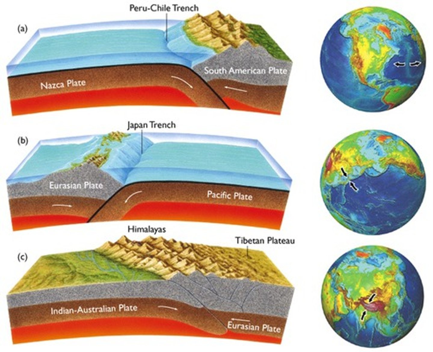 <p>Lithospheric plates that are moving toward each other. Crust is usually destroyed at this boundary.</p>