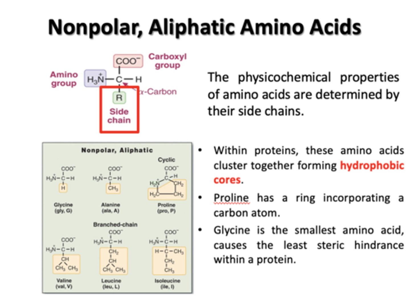 <p>Glycine, Alanine, Proline, Valine, Leucine, Isoleucine</p>