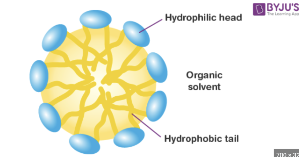 <p><span>hydrophobic tails point inward and the hydrophilic heads point outward. (</span>A spherical structure formed by the aggregation of detergent molecules in an aqueous solution)</p>