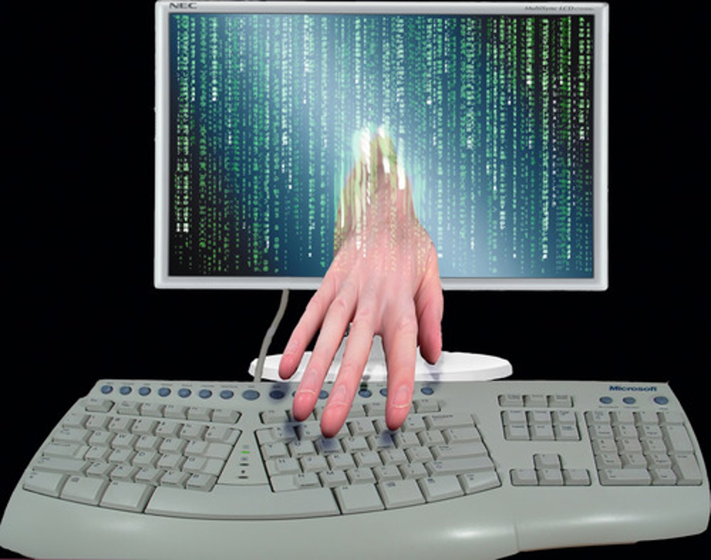<p>identity theft</p>