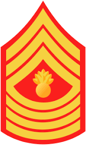 <p>What pay grade/rank is this?</p>