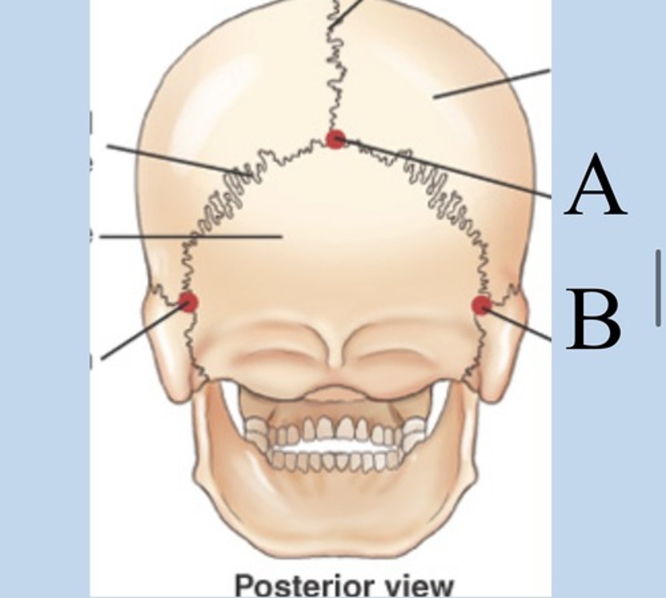<p>What is A?</p>