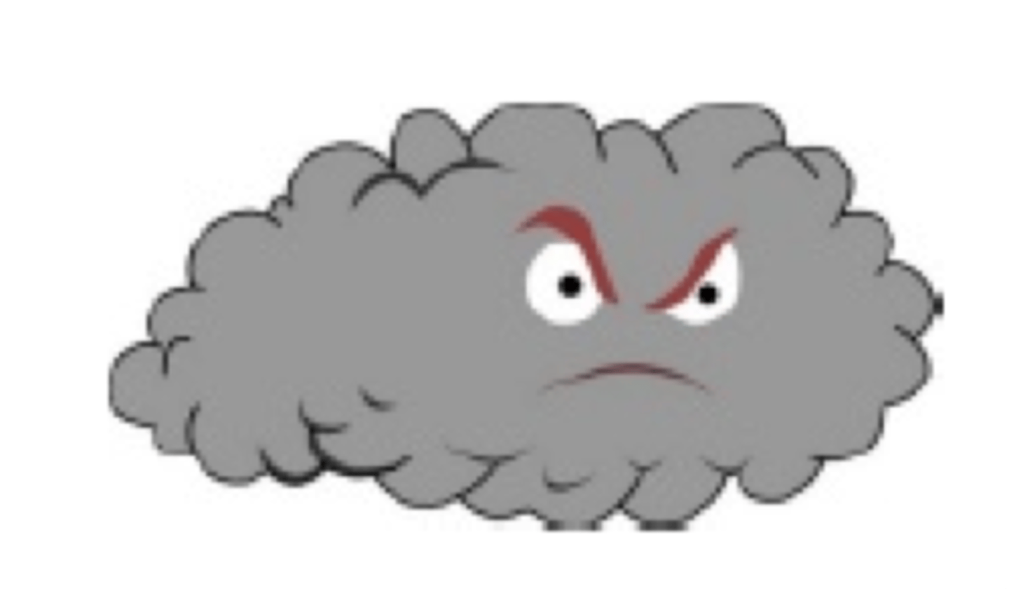 <p>It's bad weather.</p>