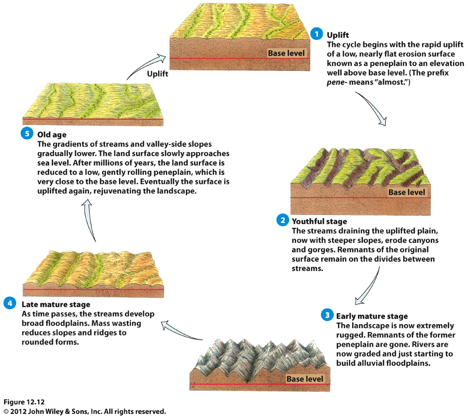 
1. Heel gebied wordt omhoog getild boven base level maar blijft vlak. 
2. Binnen in de hoogvlakte gaan de rivieren zich diep insnijden. 
3. Nu krijg je een bergachtig gebied.
4.  na verloop van tijd wordt dit een meer heuvelachtig gebied.
5.  na verloop van tijd wordt dit vlakker en vlakker. 

(meestal wordt niet de gehele cyclus in een gebied behaald.) 