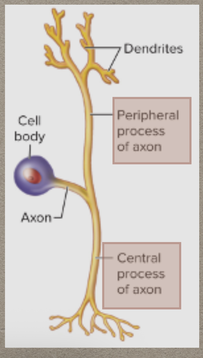 <p>What is this?</p>