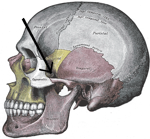 <p>Name the structure</p>