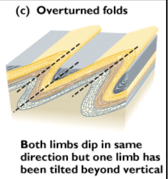 <p>axial plane inclined to such an extent that the strata on <strong>one</strong> <strong>limb</strong> are <strong>overturned</strong></p>