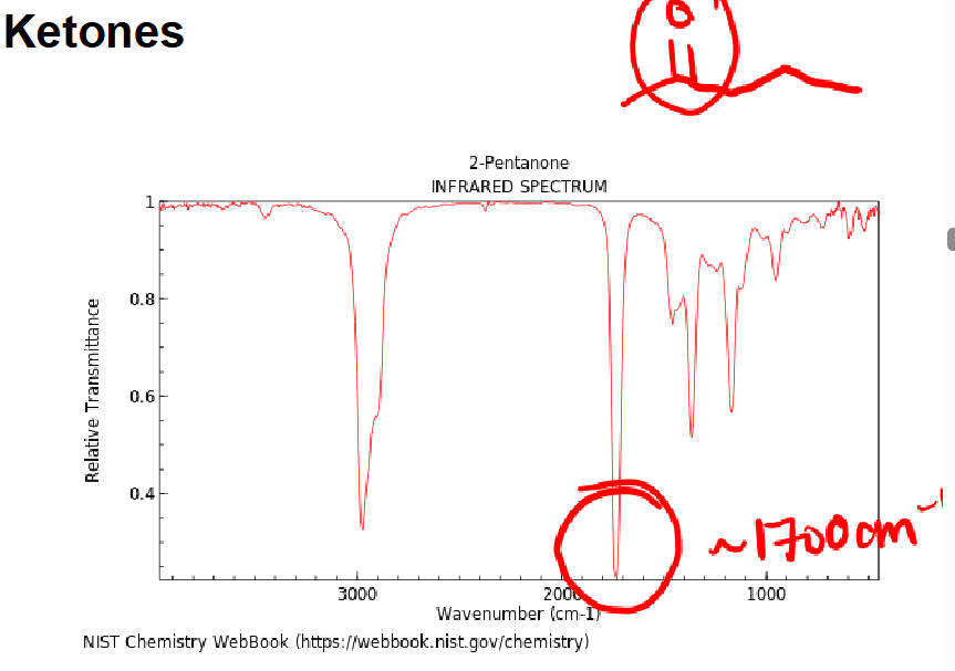 <p>Ketones</p>