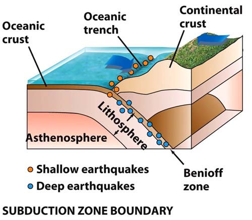 <p>the process in which the edge of an oceanic plate moves downward beneath the continential plate and is pushed toward the center of the earth</p>