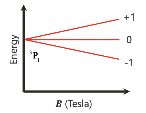 <p>splitting of energy levels upon application of a magnetic field interacting with m(l)</p><p>= used in NMR</p>