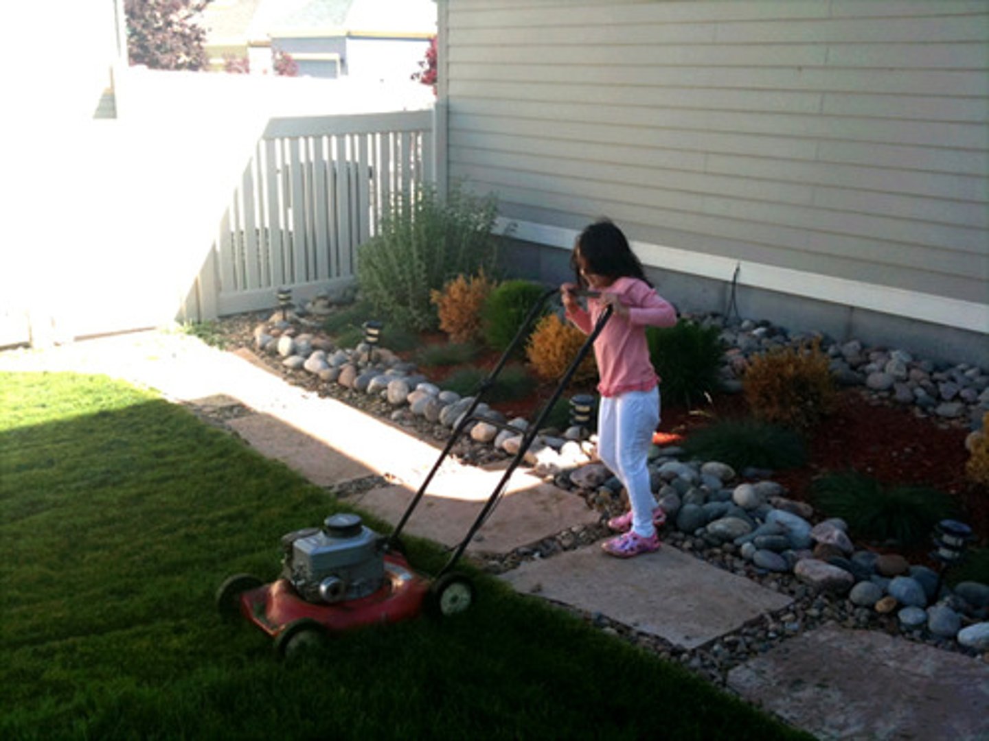 <p>cut grass!</p>