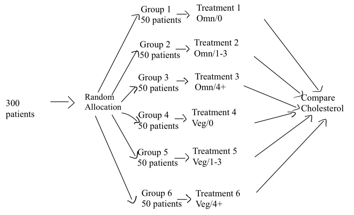 <p>creating a plan that outlines the structure of an experiment, including treatment groups and randomization methods</p>