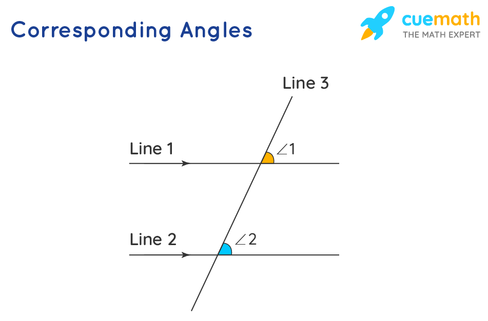 <p>When two lines are crossed by a tranversal, the corresponding angles are in similar places</p>