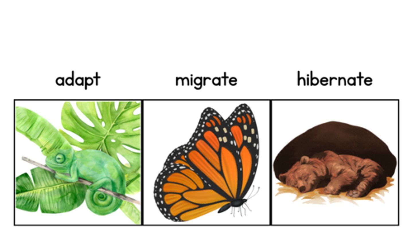 <p>Adapt</p><p>Migrate</p><p>Hibernate</p>