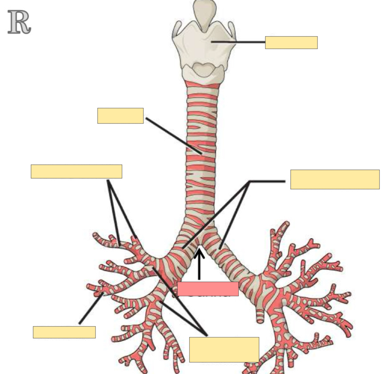 <p>What part is this? </p>