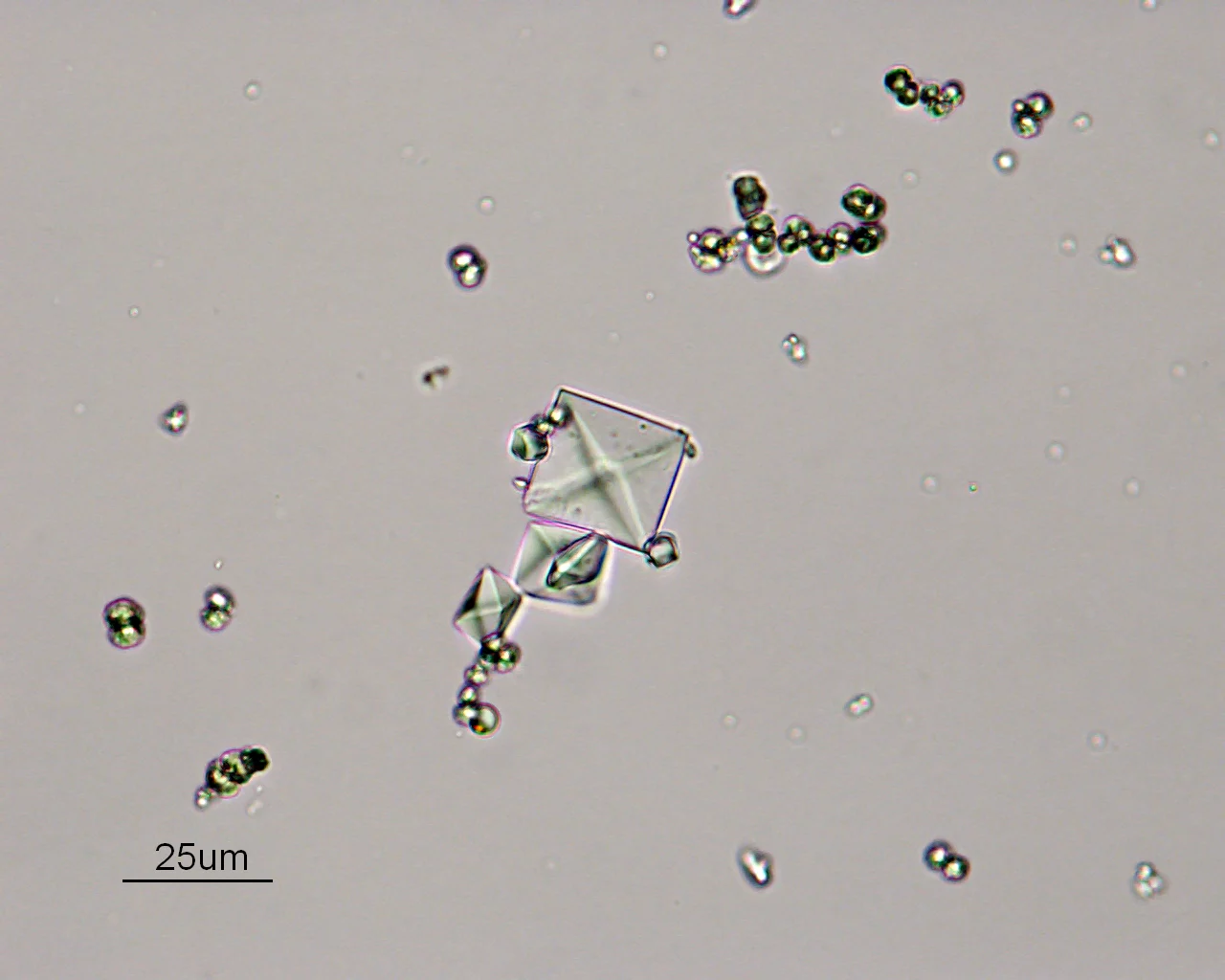 <p>What crystals is this?</p>