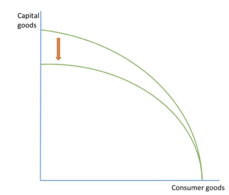 <p><span style="font-family: ArialMT">fall in capital goods but no change in consumer production.</span></p><p><span style="font-family: ArialMT">fall in efficiency that only affects capital good manufacture.</span></p>