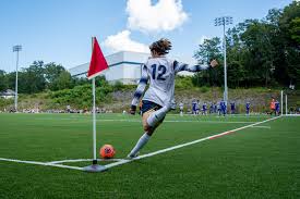 <p>Lines within an image that direct the viewer’s eye toward the subject or focal point</p>