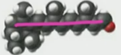 <p>All trans</p>