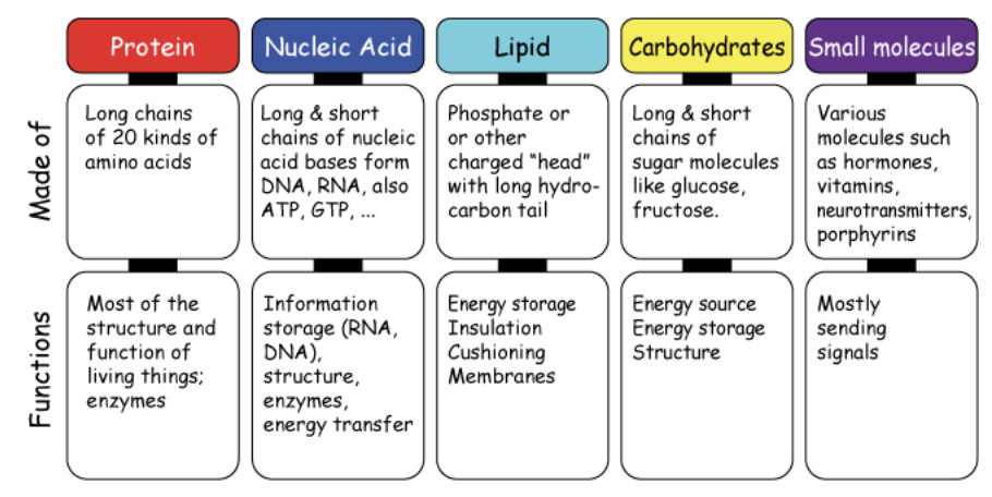 <p>Various atoms and molecules make up the body </p>