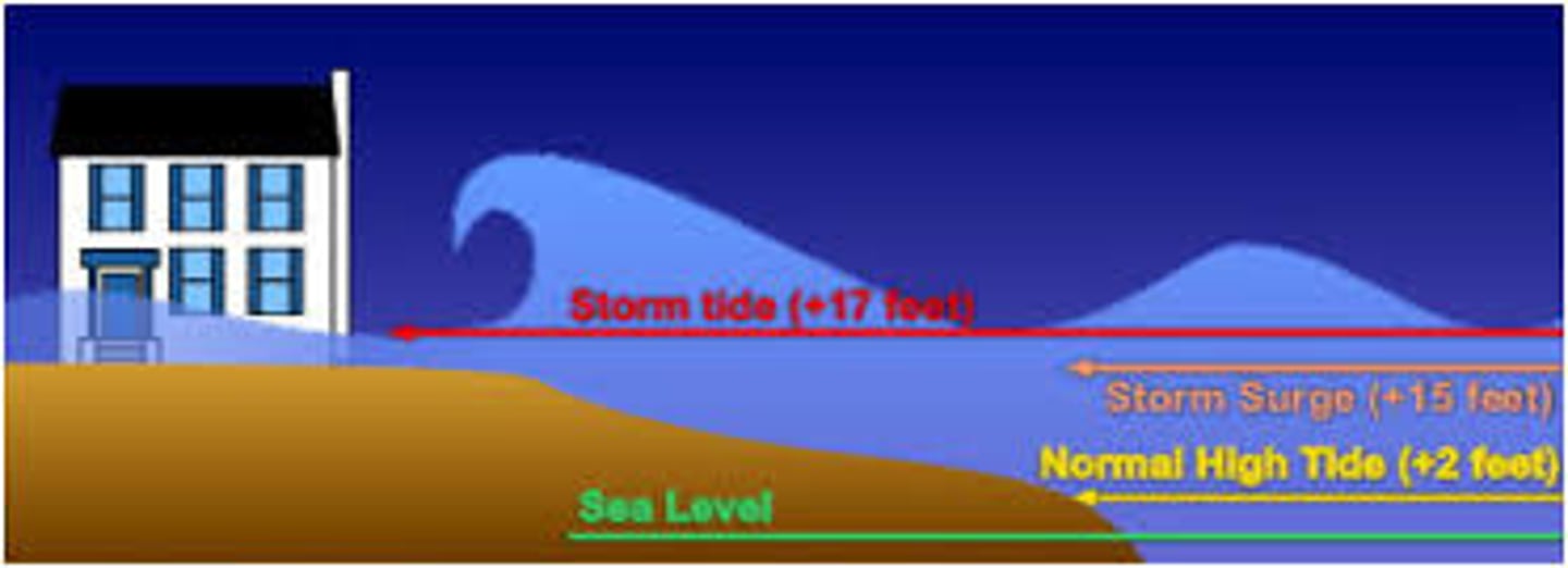 <p>A local rise in sea level near the shore that is caused by strong winds from a storm, such as those from a tropical storm.</p>