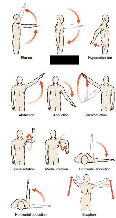 Glenohumeral joint 

what is this?