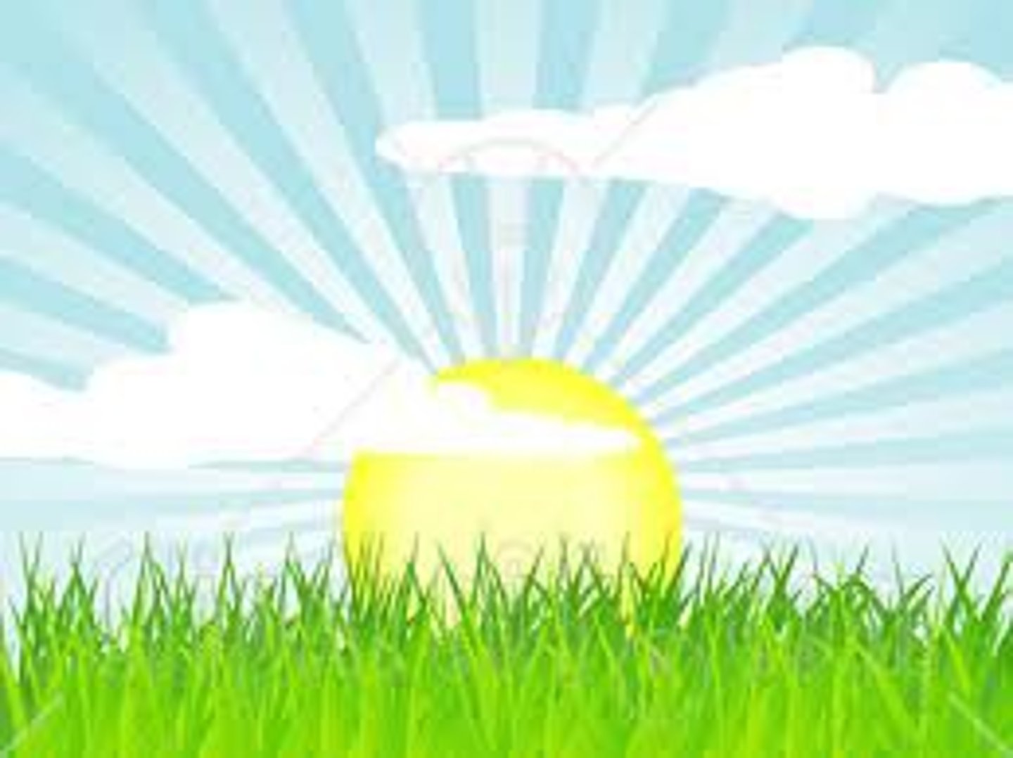 <p>in the morning</p>