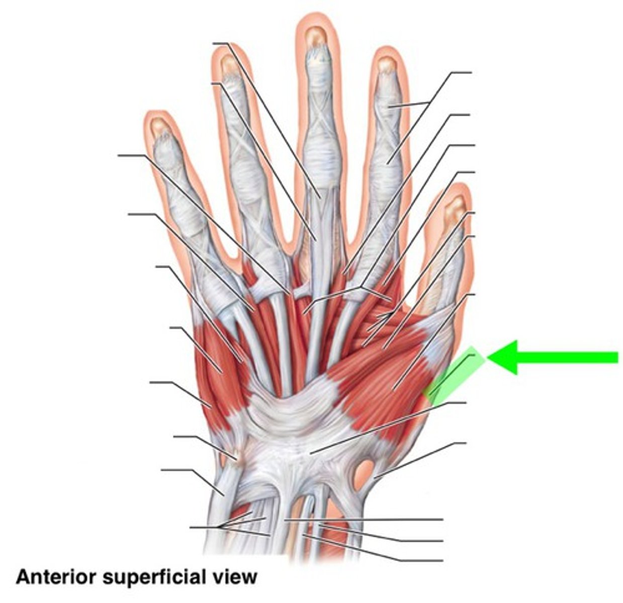 <p>trung vị. Example: The median of the dataset is 52. (Trung vị của tập dữ liệu là 52.)</p>