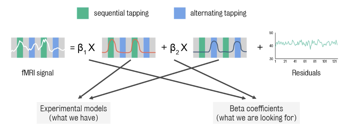 Graphical representation of general linear model