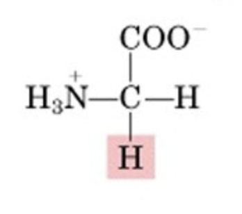 <p>What’s this aminoacid?</p>