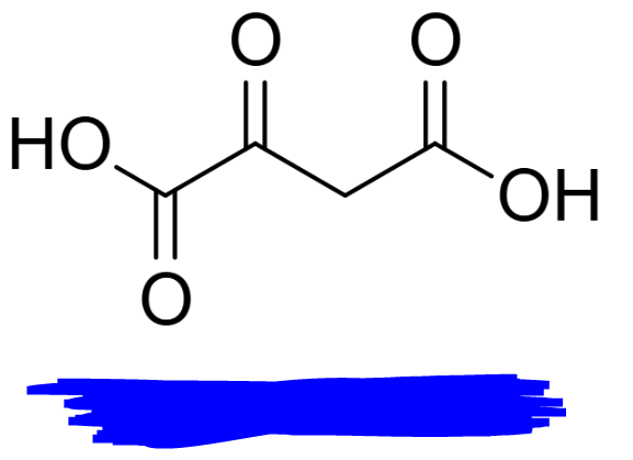 <p>A four carbon acceptor molecule that Acetyl-CoA combines with at the start of the Krebs cycle. This molecule is regenerated near the end.</p>
