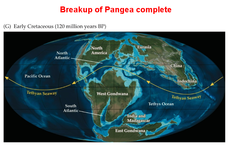 <p>begins to assemble in devonian, assembled in permian</p><p>begins to break in jurassic, dissasembled in cretaceous</p>