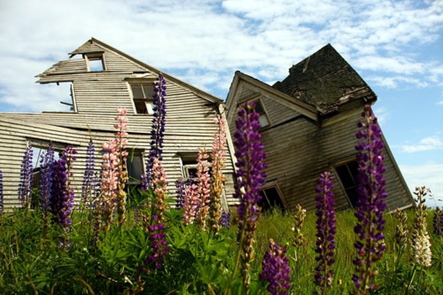 <p>"So that you can live in fear forgetting that it pummels your house too."</p>