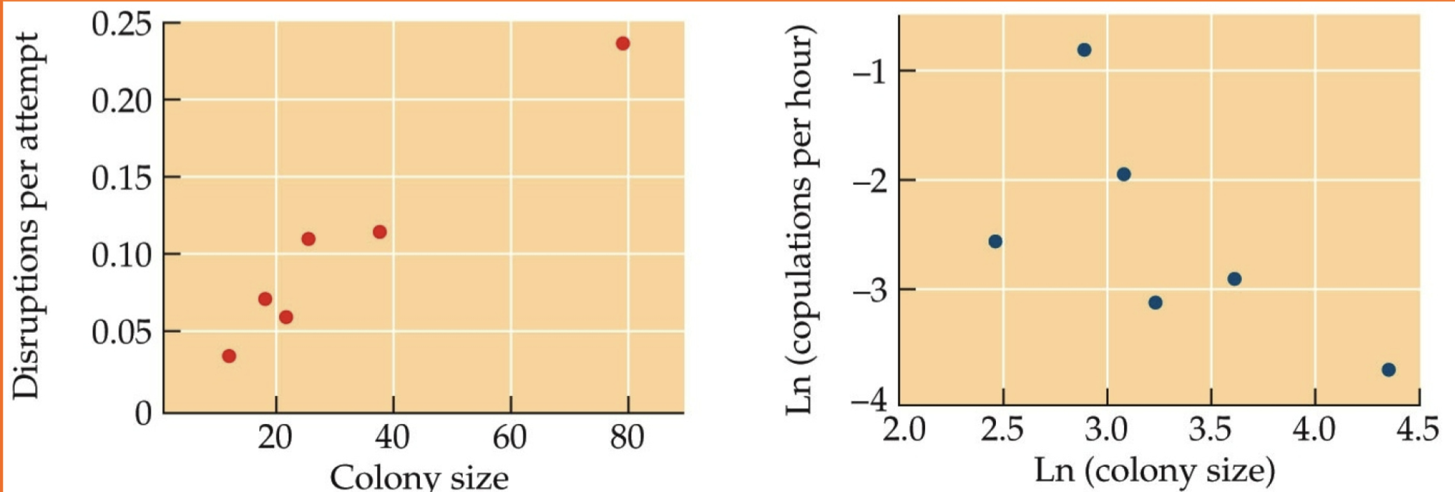 <p>Males establish a dominance hierarchy and compete for access to females (colony birds: grackles, starlings, weavers); female defense.</p>