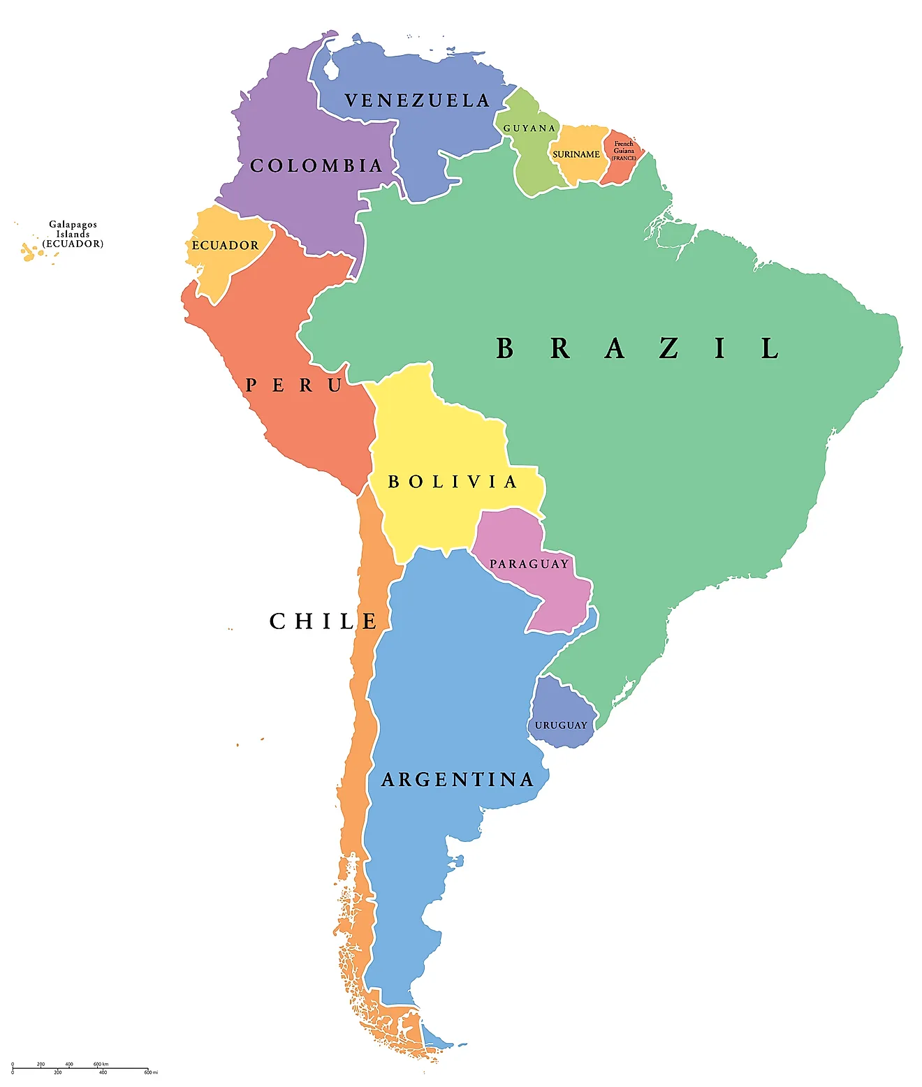 <p>South America</p>