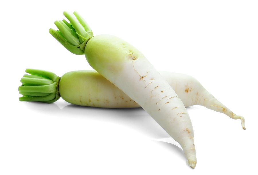 <p>daikon</p>